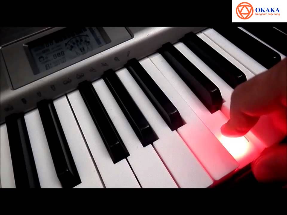 Đàn organ phím sáng Casio LK chính là một trong những giải pháp giúp các giáo viên không được đào tạo chuyên sâu về âm nhạc trút được phần nào nỗi lo đó.