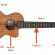 Tiếng Anh chuyên ngành âm nhạc (Phần 3) – Từ vựng các bộ phận đàn ukulele qua hình ảnh