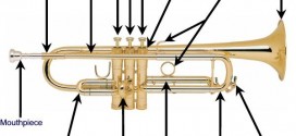 Tiếng Anh chuyên ngành âm nhạc (Phần 6) – Từ vựng các bộ phận kèn trumpet qua hình ảnh