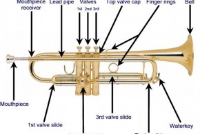 Tiếng Anh chuyên ngành âm nhạc (Phần 6) – Từ vựng các bộ phận kèn trumpet qua hình ảnh