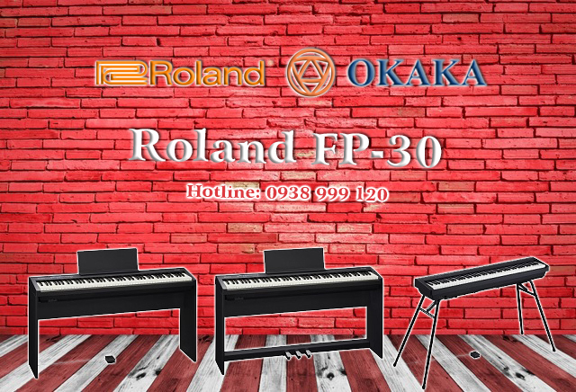Nếu nghĩ vậy thì có lẽ bạn chưa biết có một cây đàn piano điện mới đáp ứng đủ 3 tiêu chí trên! Đó chính là đàn piano điện Roland FP-30! Với Roland FP-30, ước mơ sở hữu một cây đàn piano giá mềm nhưng cho âm thanh tuyệt vời trong kiểu dáng nhỏ gọn sẽ sớm trở thành hiện thực!