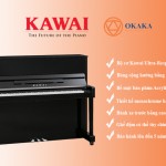 Đàn piano cơ Kawai ND-21