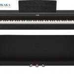 Đàn piano điện Yamaha YDP-163 dòng Arius là model đàn piano điện 88 phím có rất nhiều tính năng đáng chú ý, nhưng có một số điểm đáng lưu ý nhất khi cân nhắc model này là liệu nó có đáng giá hay không, nó hướng tới những đối tượng người chơi nào và liệu nó có vượt trội so với những model tương tự hay không.