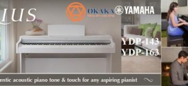 So sánh đàn piano điện Yamaha YDP-143 và YDP-163 dòng Arius