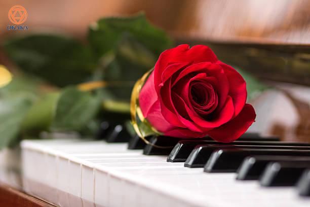 Lại một mùa Valentine nữa lại đến! Hoa hồng, chocolate, gấu bông… dường như là những món quà quen thuộc, và bạn đang tự hỏi còn có món quà nào đặc biệt cho ngày Valentine năm nay không. Đặc biệt nếu đối phương là người yêu âm nhạc, bạn hãy tham khảo ngay 5 món quà Valentine ý nghĩa và độc đáo cho người ấy dưới đây.